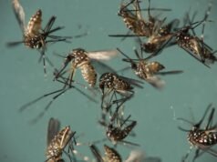 “पुण्यात डॉक्टर आणि त्यांची किशोरवयीन मुलगी झिका विषाणूची बाधा झाल्याचे आढळले”