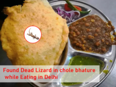 Delhi : स्त्रीला छोले भटुरे मध्ये मृत सरडा सापडला, इंटरनेट म्हणते ‘भारतीय स्ट्रीट फूडवर बंदी आणा.