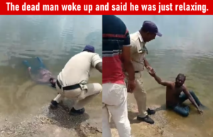 तलावात तरंगणारे ‘मृतदेह’ बाहेर पडले फक्त एक माणूस ‘झोप घेत’ असल्याचे – व्हिडिओ