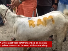 नवी मुंबई: बकरी ईदच्या आधी विक्रीसाठी ठेवलेल्या बोकडावर ‘राम’ लिहिल्याचा व्हिडिओ व्हायरल; संतापाच्या पार्श्वभूमीवर पोलिसांनी कारवाई सुरू केली”