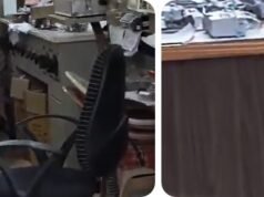 राजगुरुनगर एमएसईडीसीएल कार्यालयात बिबट्याचे दर्शन, गोंधळ उडाला