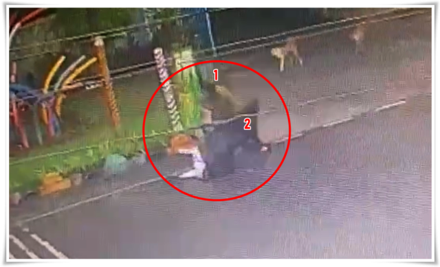 मित्राच्या खुनाचा बदला घेण्यासाठी मुलीच्या बनावट अकाउंटचा वापर, सिंहगड रोडवर कोयत्याने हल्ला – पुण्यात गुन्हेगारीचा नवीन धक्कादायक प्रकार.